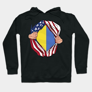 Two Hands Ripping Usa and Ukraine Flags Heritage Roots Hoodie